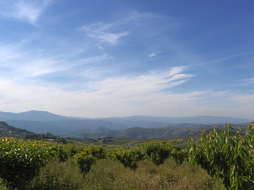 Quinta Da Pereira Βίλα Armamar Εξωτερικό φωτογραφία